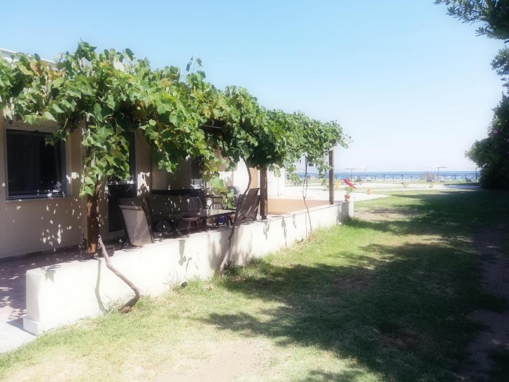 Mirini • Ancient Stagira Apts • Chalkidiki Olympiada Exteriör bild